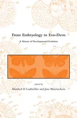 Cover of From Embryology to Evo-Devo: A History of Developmental Evolution