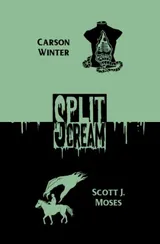 Cover of Split Scream Volume One