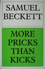 Cover of More Pricks Than Kicks