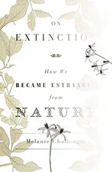 Cover of On Extinction: How We Became Estranged from Nature