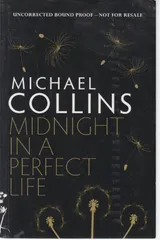 Cover of Midnight in a Perfect Life