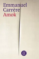 Cover of Amok.