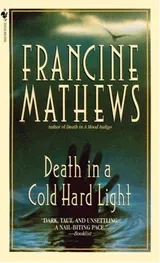 Cover of Death in a Cold Hard Light