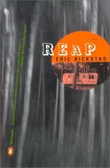 Cover of Reap