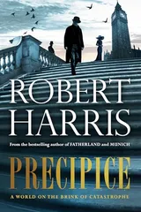 Cover of Precipice