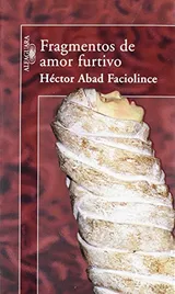 Cover of Fragmentos de amor furtivo