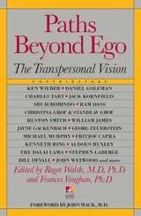 Cover of Paths beyond ego