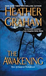 Cover of The Awakening