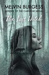 Cover of The Lost Witch