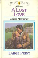 Cover of A Lost Love