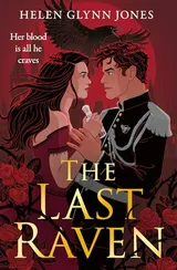 Cover of The Last Raven