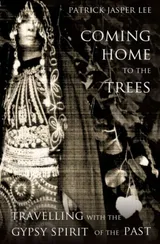 Cover of Coming Home to the Trees: Travelling With the Gypsy Spirit of the Past