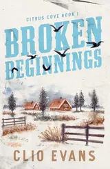 Cover of Broken Beginnings