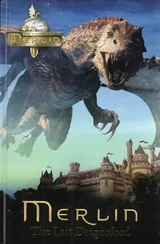 Cover of The Last Dragonlord