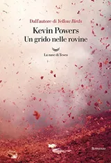 Cover of Un grido nelle rovine