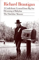 Cover of Richard Brautigan: A Confederate General from Big Sur, Dreaming of Babylon, and the Hawkline Monster