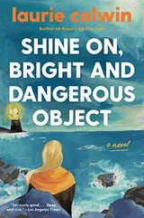 Cover of Shine on, Bright and Dangerous Object