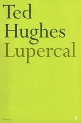 Cover of Lupercal