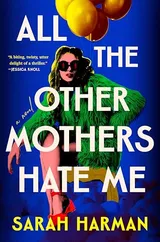 Cover of All the Other Mothers Hate Me