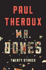 Cover of Mr. Bones