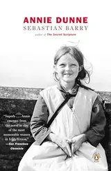 Cover of Annie Dunne