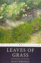 Cover of Leaves of Grass by Walt Whitman, The Original 1855 Edition