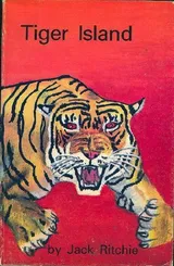 Cover of Tiger Island