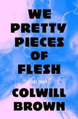 Cover of We Pretty Pieces of Flesh