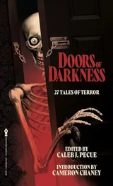 Cover of Doors of Darkness