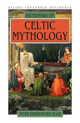 Cover of Dictionary of Celtic Mythology
