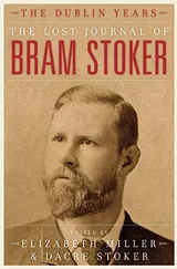 Cover of The Lost Journal of Bram Stoker: The Dublin Years