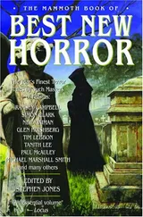 Cover of Best New Horror 15