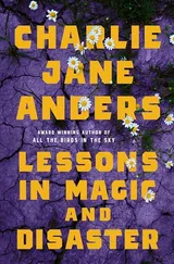 Cover of Lessons in Magic and Disaster