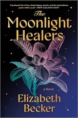 Cover of The Moonlight Healers