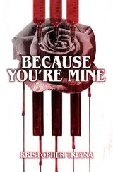 Cover of Because You're Mine