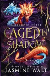 Cover of Caged in Shadow