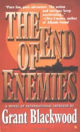 Cover of The End of Enemies