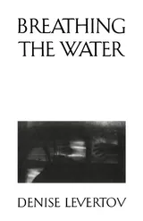 Cover of Breathing the Water