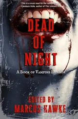 Cover of Dead of Night: A Book of Vampire Horror
