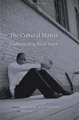 Cover of The Cultural Matrix: Understanding Black Youth