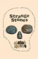 Cover of Strange Stones