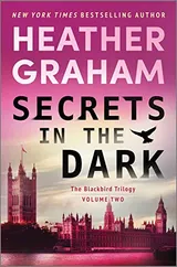 Cover of Secrets in the Dark: A Paranormal Mystery Romance