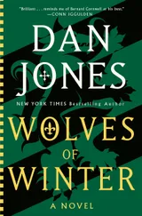 Cover of Wolves of Winter