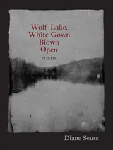 Cover of Wolf Lake, White Gown Blown Open: Poems