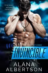 Cover of Invincible