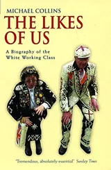 Cover of The Likes of Us: A Biography of the White Working Class