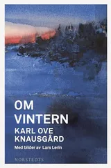 Cover of Om vintern