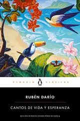 Cover of Cantos de vida y esperanza