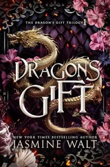Cover of Dragon's Gift