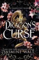 Cover of Dragon's Curse
